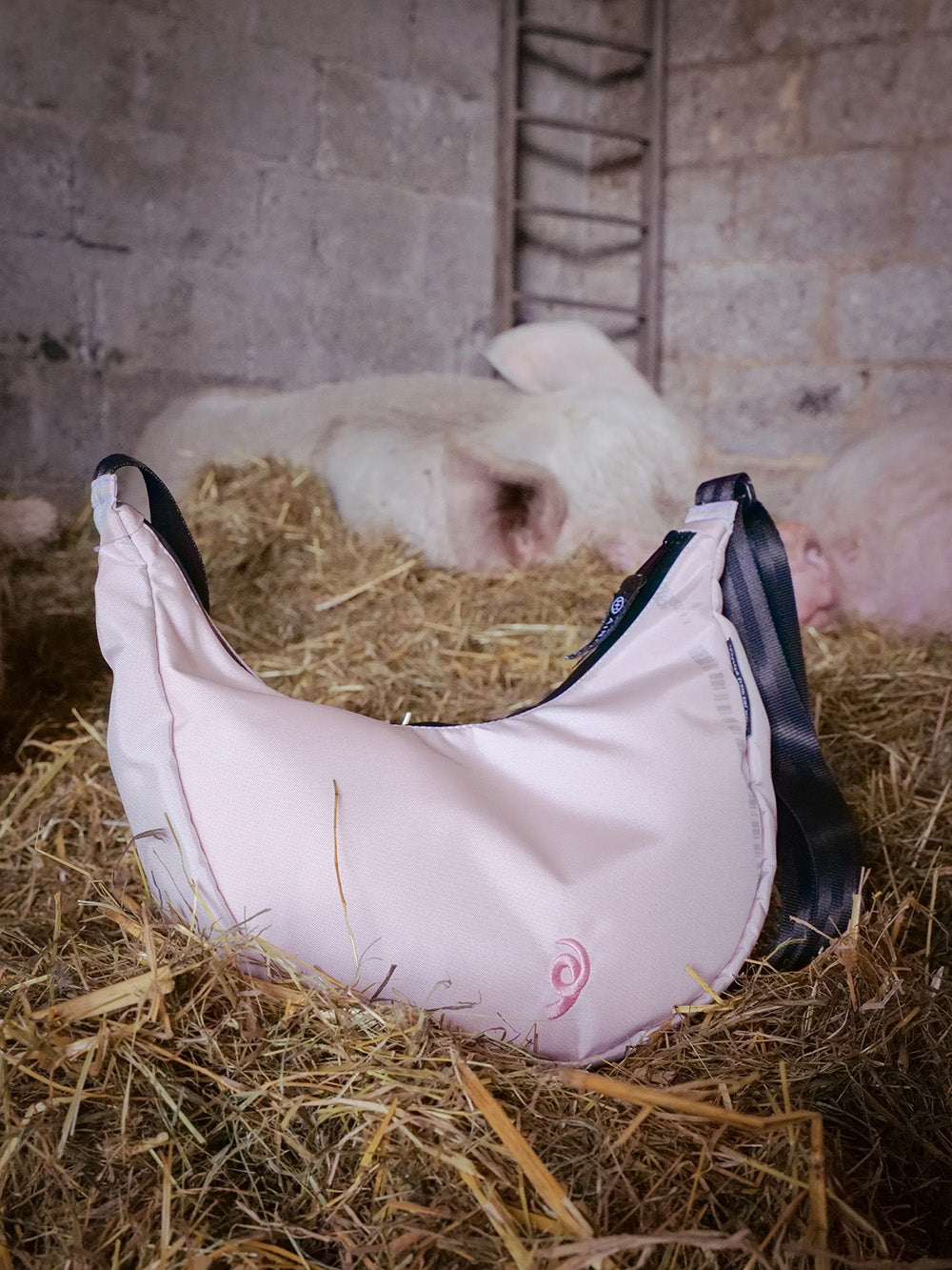 Airpaq Moon Baq - Mini - Schweine-Edition