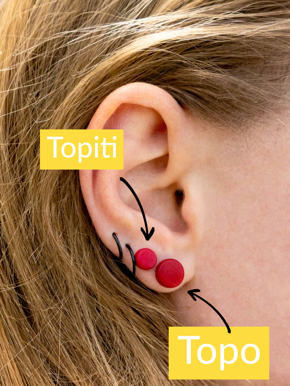 Stud earrings Topo red - LaTagua nut earrings silver