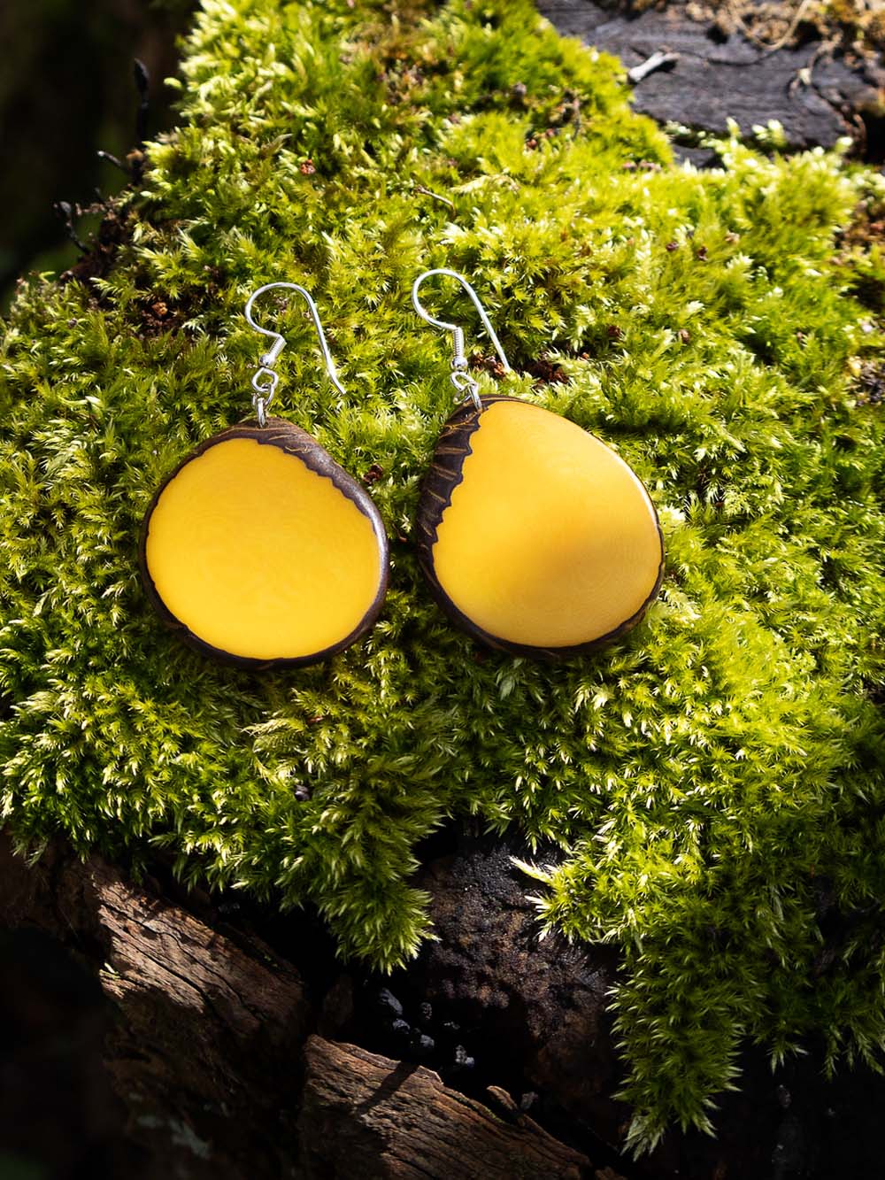 Earrings Carlaret yellow - LaTagua nut silver