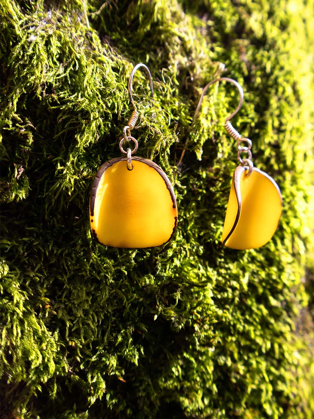 Earrings Lararet yellow - LaTagua nut silver